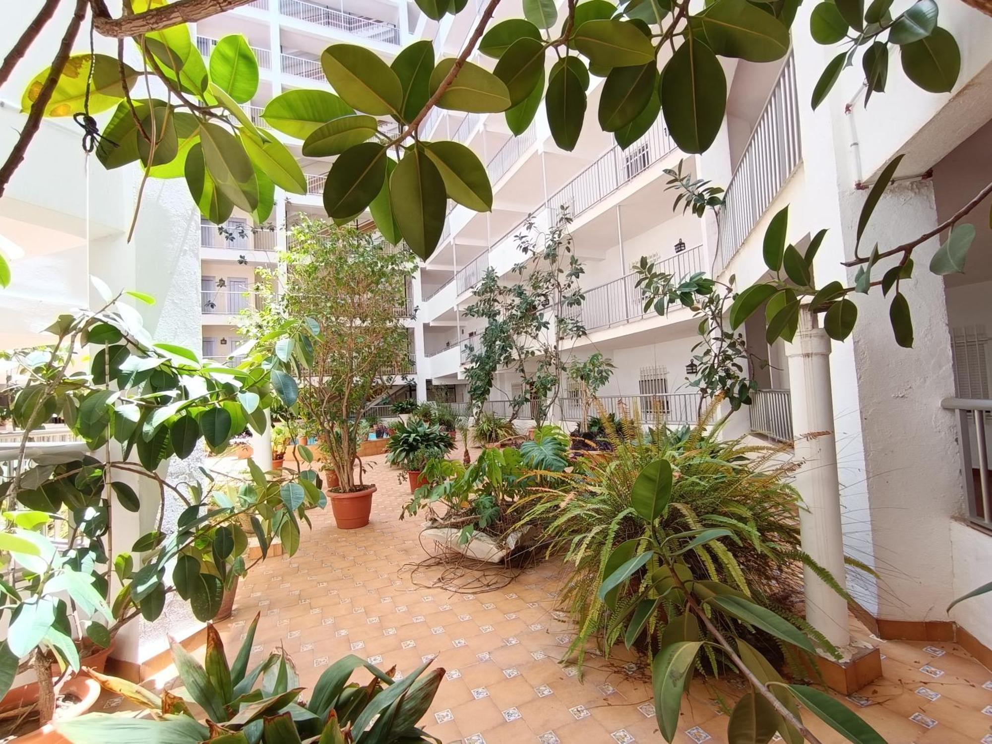 Amazing Beach Apartment Cullera Εξωτερικό φωτογραφία