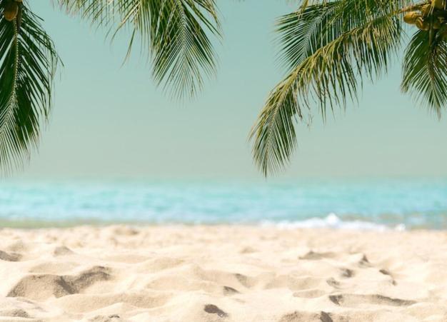 Amazing Beach Apartment Cullera Εξωτερικό φωτογραφία